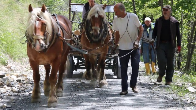 Chantier-école de débardage de Montdenis, mai 2014 (suite)