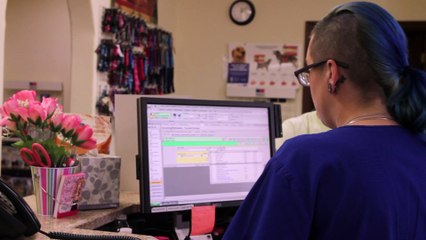 Welcome to Kingman Animal Hospital