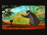 Jungle Book - Wat je van beren leren kan