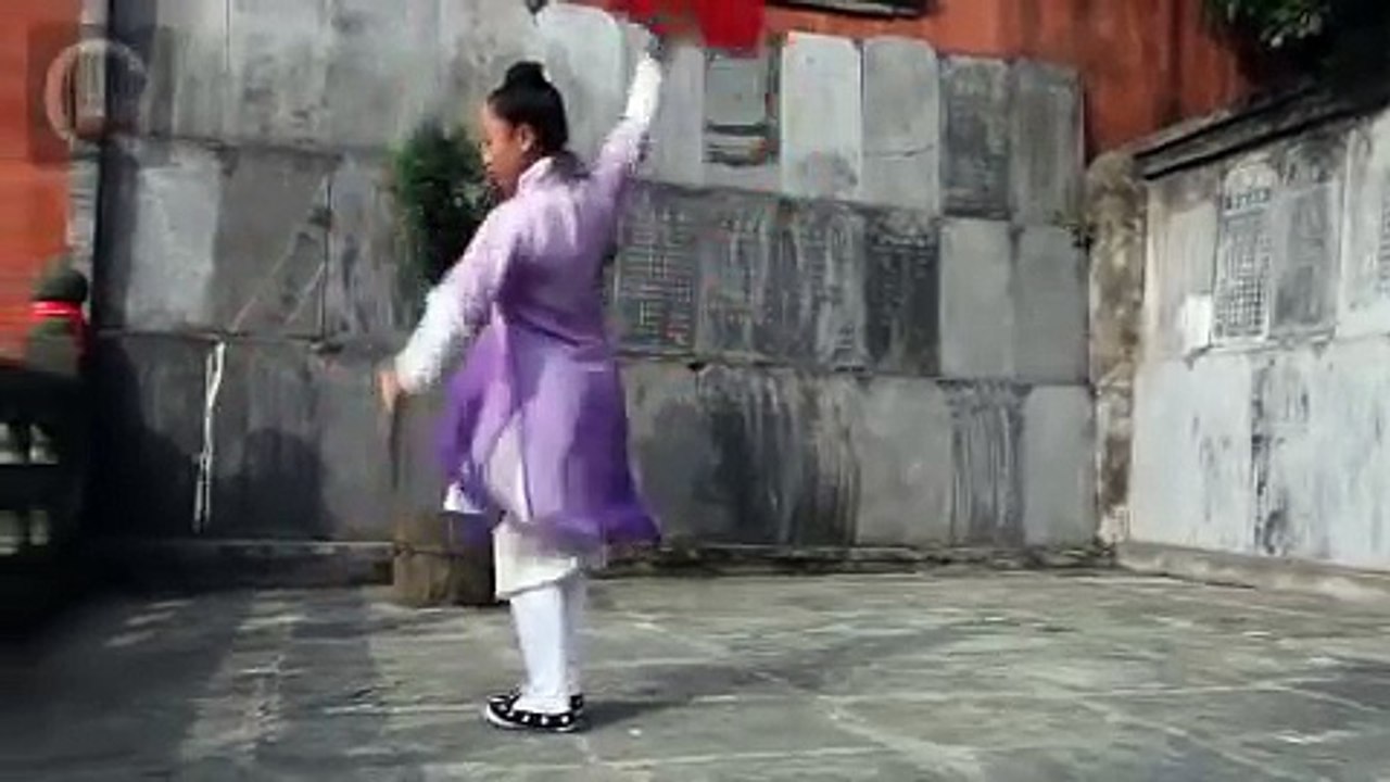 Wudang Kung Fu Fan by Shifu Pan Kedi