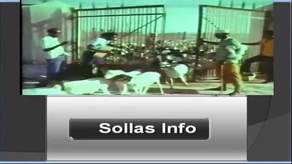 Qoraal iyo Cod Hees Wadani ah "Dalkayagiiyow" 1982