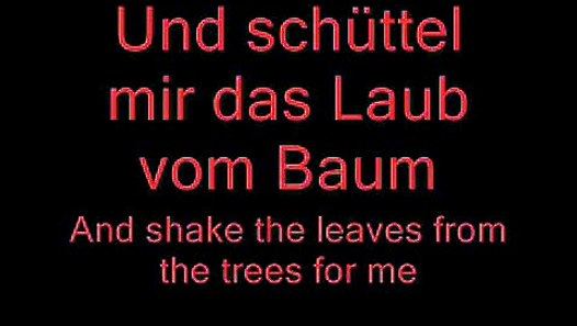 Spiel Mit Mir - Rammstein Lyrics and English Translation - Vidéo