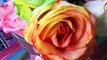 HOW TO: Tie Dye Roses - DIY Rainbow Roses and Flowers