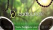 Wacky Background Music Loop - Wacky Loop (Royalty Free & Watermarked)