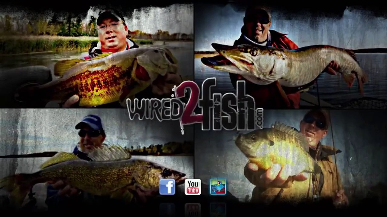 What is Minn Kota i-Pilot Link and How Does it Work?