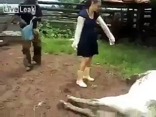 cow kick...
