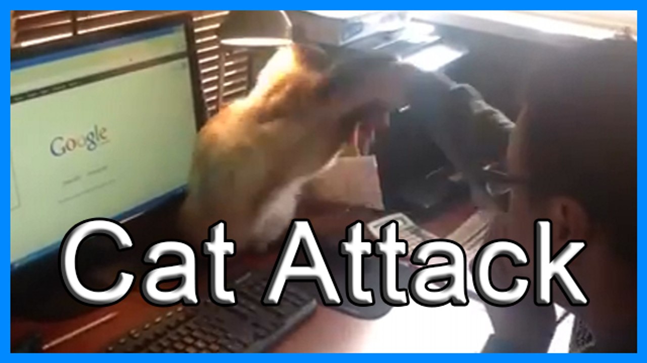 ♥ Ne touches pas à ma souris ♥