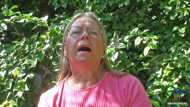 Speak Haitian Creole . Learn Kreyòl . Pronouns