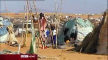 Global Warming Climate Change causes conflict  - BBC News