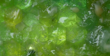 Farklı Renklerde Bal Üreten Arıların Sırrı