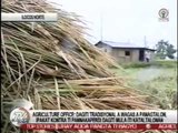 TV Patrol Ilocos - April 6, 2015