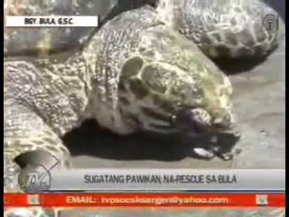 TV Patrol Socsksargen - April 6, 2015