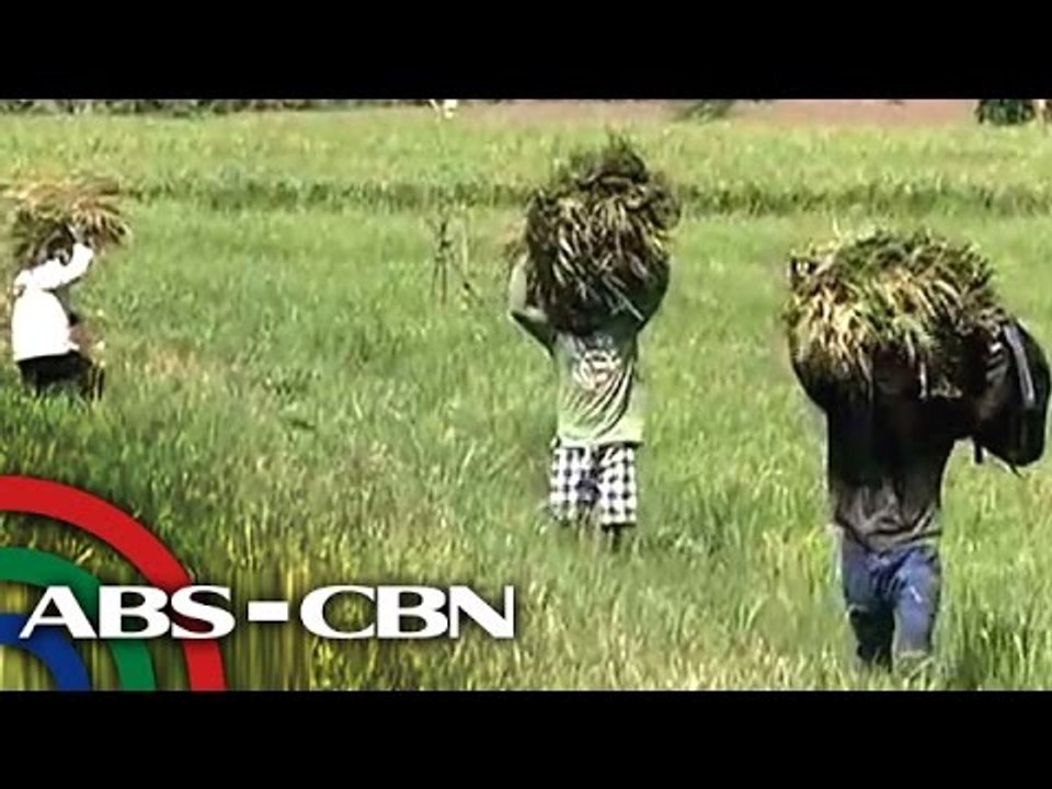 How communities are preparing for typhoon 'Chedeng'?