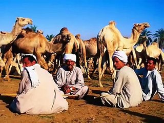 مصر على أنغام عمر خيرت- موسيقى الأيام