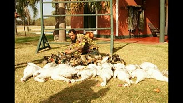 قنص داعشي امام الكامرة لا ينصح لاصحاب القلوب الضعيفة