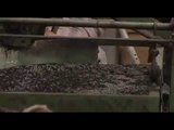الخليل: مصنع ينتج البلاط من الإطارات المطاطية التالفة
