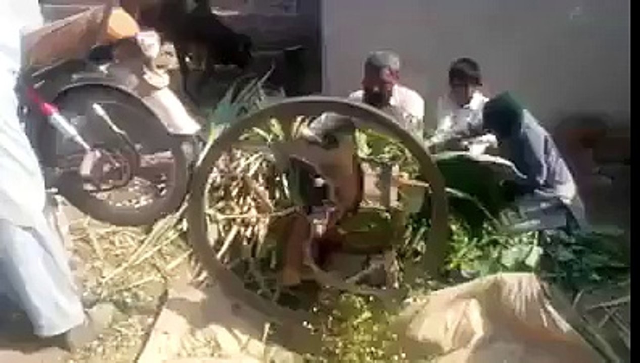 Desia Da Desi Jugad
