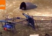 Heavy Flood Bursts Into Queensland Mall