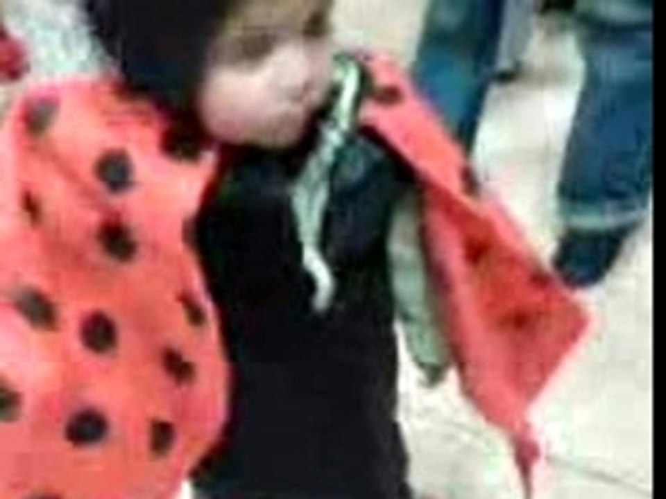 La coccinel le 20-03-07