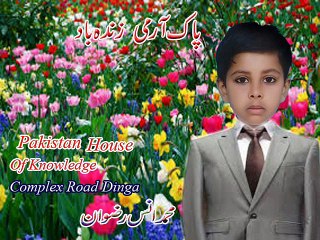 Muhammad Ans Rizwan is receiving Excellent Award (dil dil pak)