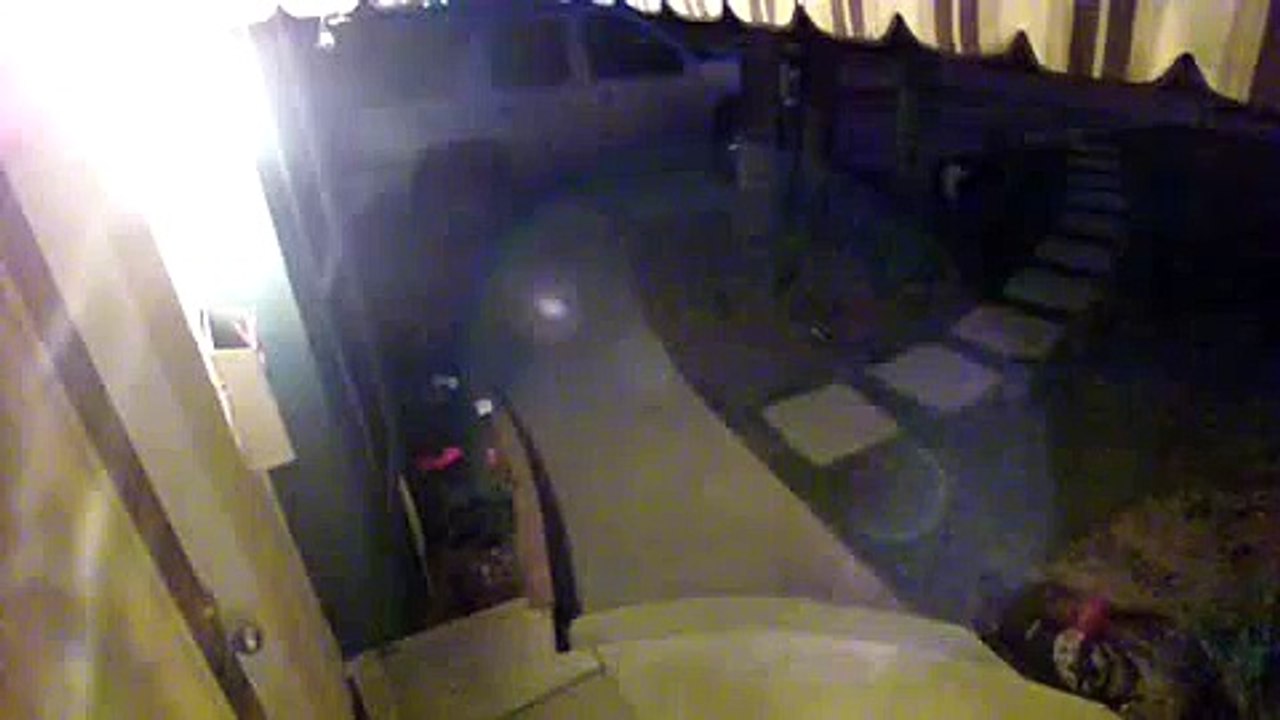 This cat is a ninja : destroy the door!
