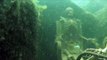 Dans les eaux du Colorado, deux squelettes plus vrais que nature découverts par un plongeur