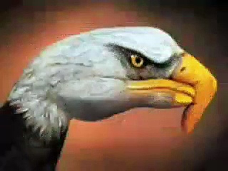 Amazing Hand Paintings To Create Animal Faces