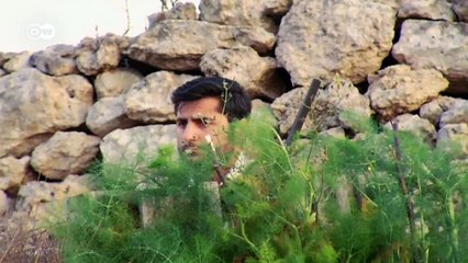 Malta: Jagd auf Singvögel | Fokus Europa