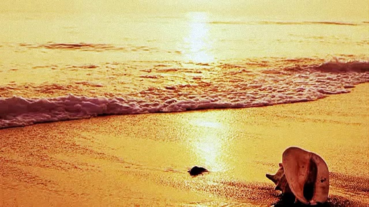 Grup OBA   Asla Vazgeçemem Senden Asla