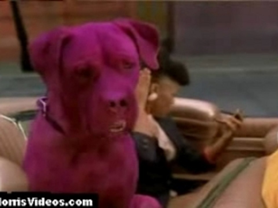 Outkast Morris Brown