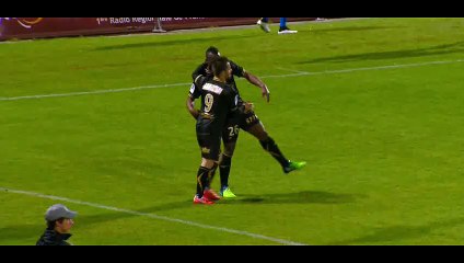 Goal Sammaritano - Niort 0-1 Auxerre - 08-05-2015
