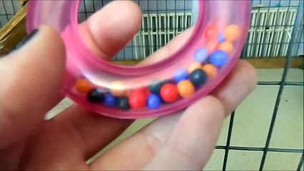 March 2014 Rabbit Cage Tour