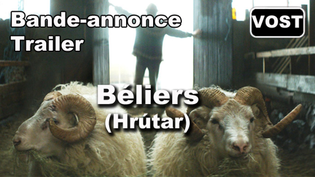 BÉLIERS (Rams  Hrútar) - Trailer / Bande-annonce [VOST|Full HD] [CANNES 2015]