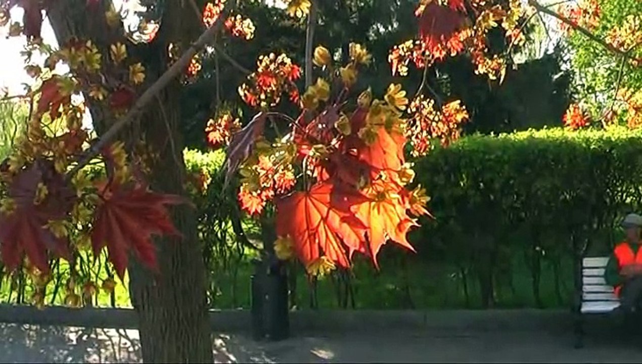 Парк Горького