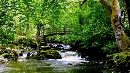 La cascade irlandaise qui séduit 6 millions d'insomniaques