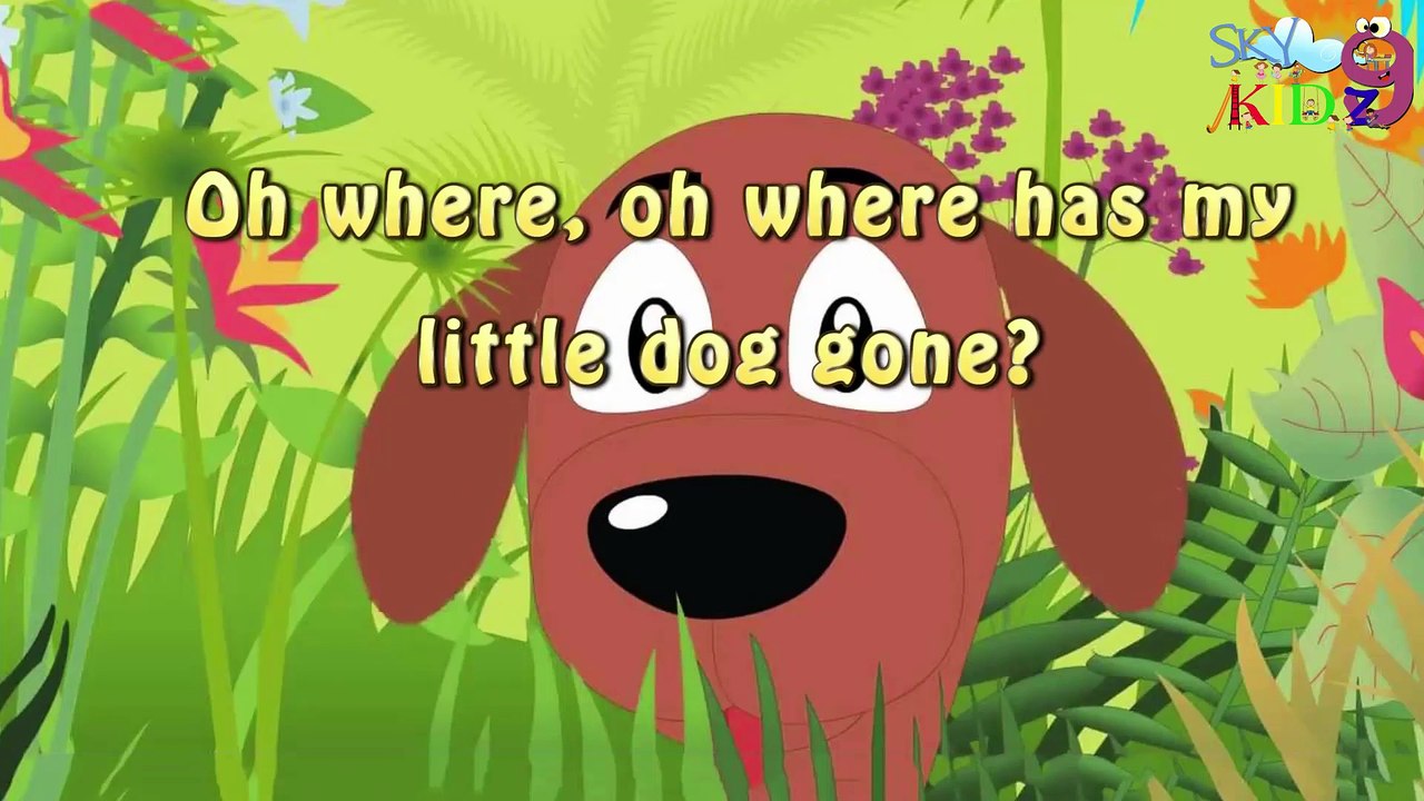 Oh where has my little dog gone  RHYMES
