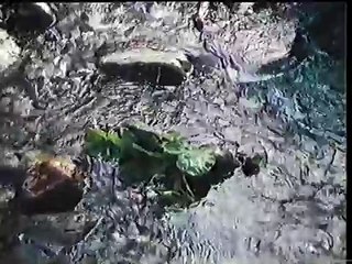 Winzer Krems,Weinsame Klasse,TV 1983