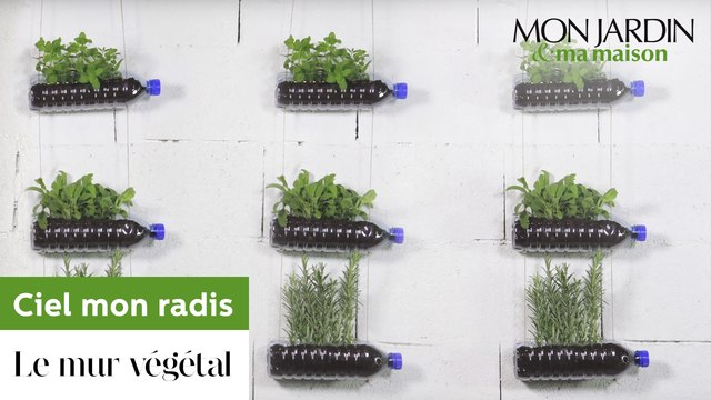 Comment réaliser un mur végétal avec des bouteilles en plastique ?