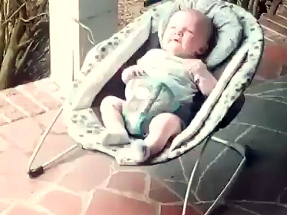 This will bring a happy smile to your day!