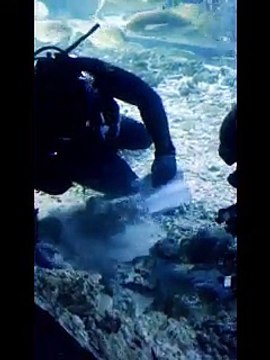 Эксклюзивное предложение руки и сердца только у нас!