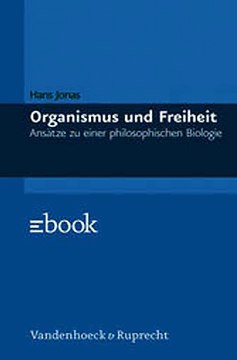 Download Wirtschaft und Gesellschaft im Zeitalter der Industrialisierung Ebook {EPUB} {PDF} FB2