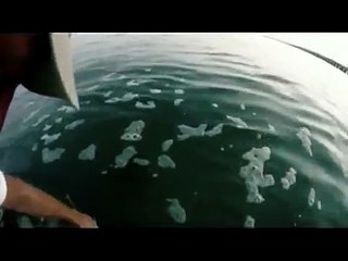 Gerçek Köpekbalığı Saldırısı En İyisi !!!!