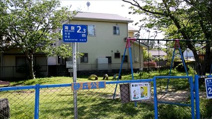 A la découverte du modèle de Hamamatsu pour la prévention des risques !