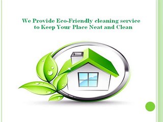 Keep Your Environment Clean With Green Cleaners Chicago IL