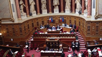 Séance publique au Sénat