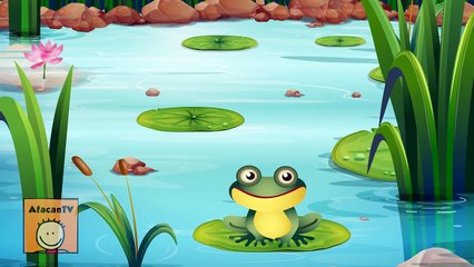 4 Küçük Kurbağa Şarkısı Bir Arada