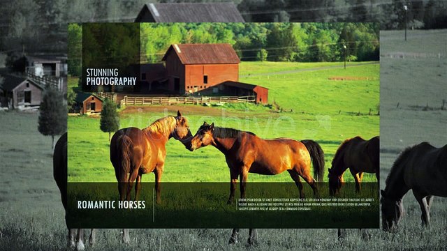 After Effects Project Files - Clean Modern Gallery - VideoHive 3485061