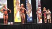 Natural Female Bodybuilding INBA Olympia Top 3 Posedown