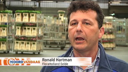 Bloemen gaan als warme broodjes over de toonbank - RTV Noord