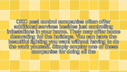 How You Can Decorate Your Home With Holiday Lighting With The Help Of An OKC Pest Control Company